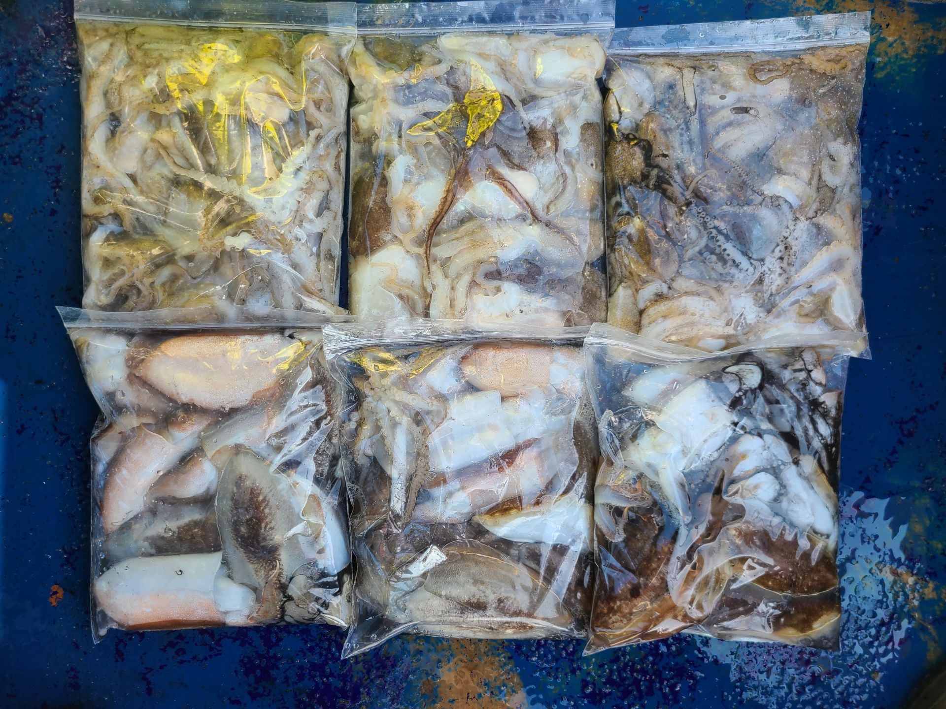 2025년10월11일 주꾸미 출조