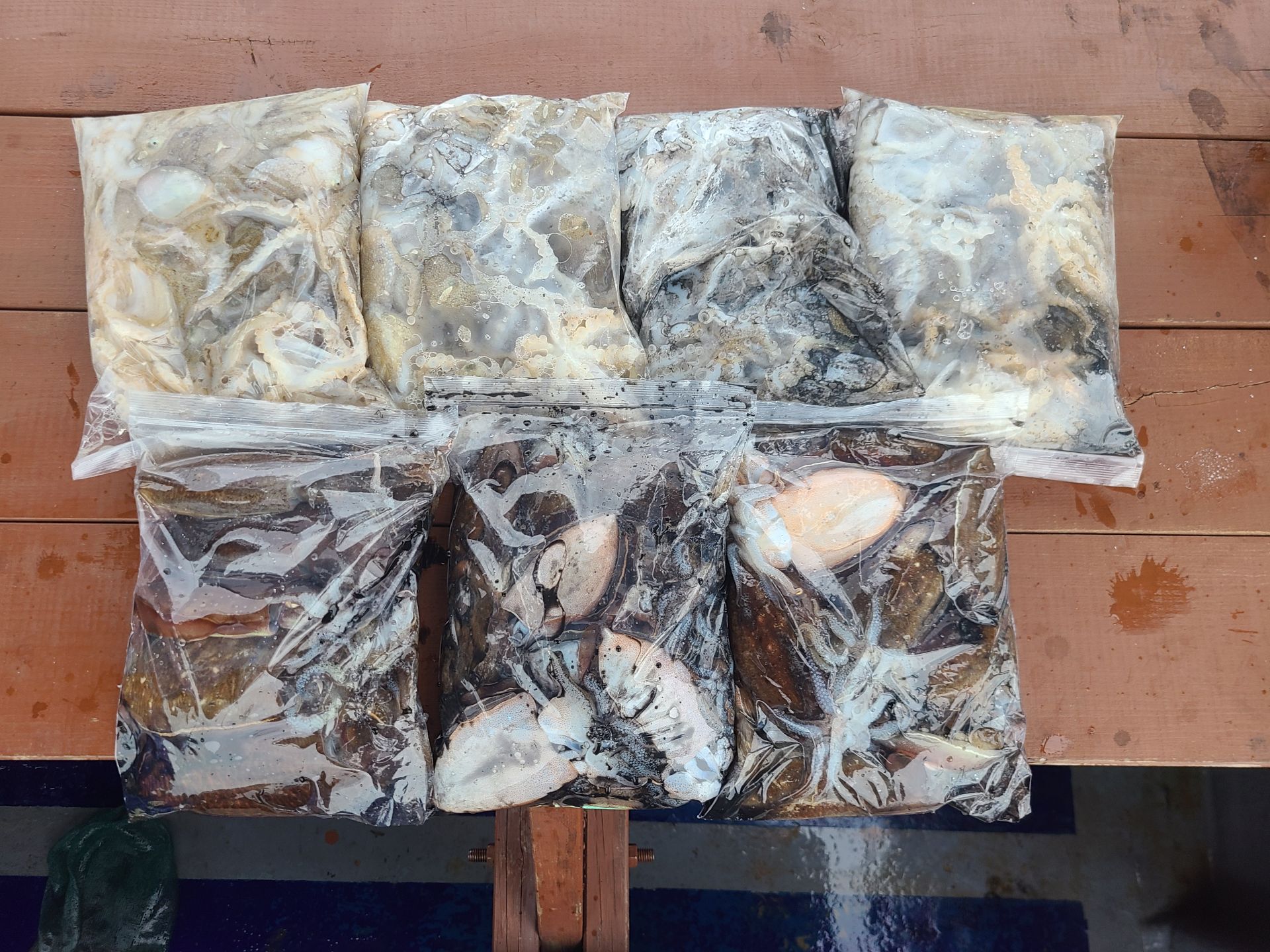 2025년10월17일 주꾸미 출조