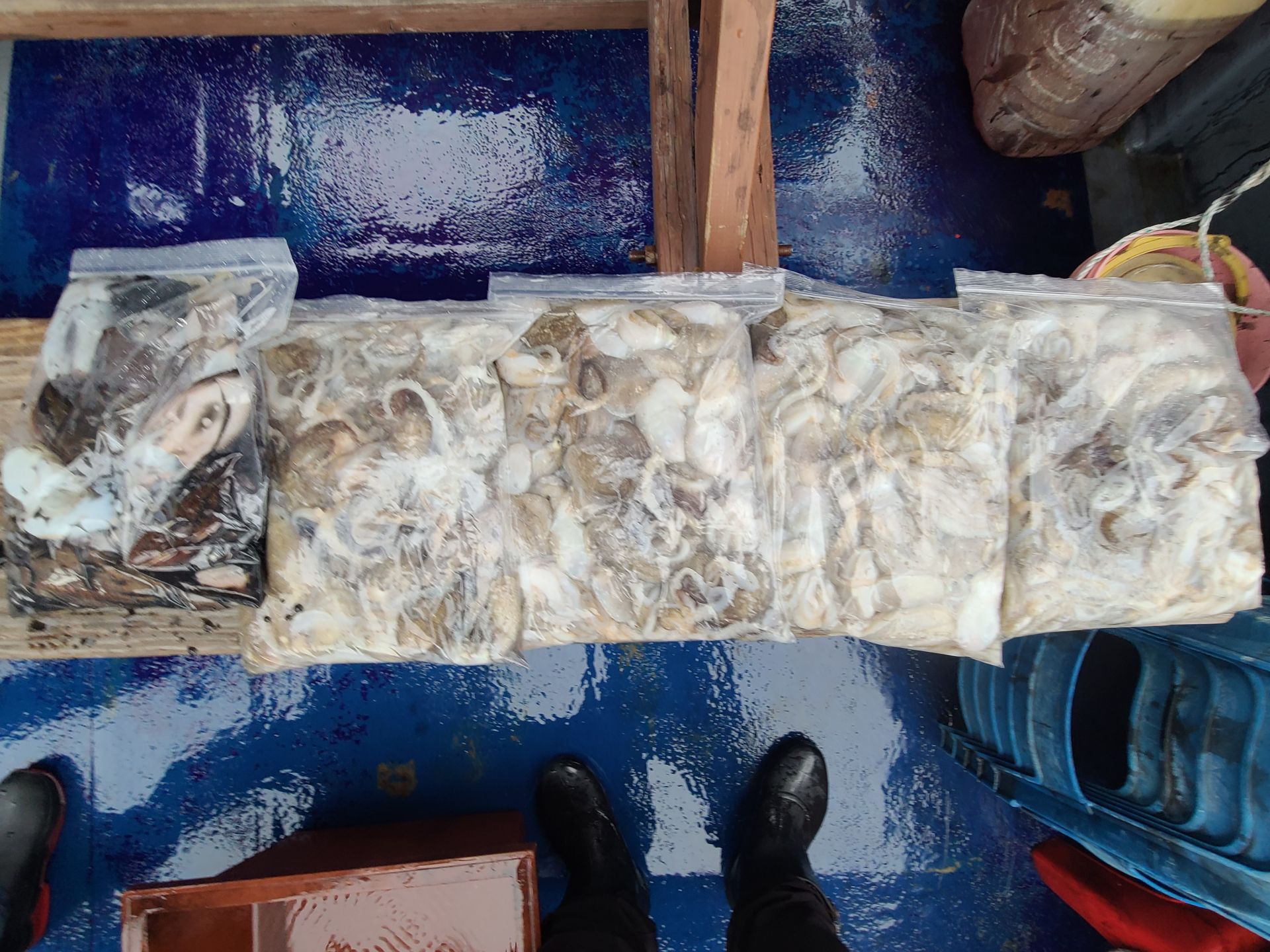 2025년10월05일 주꾸미 출조