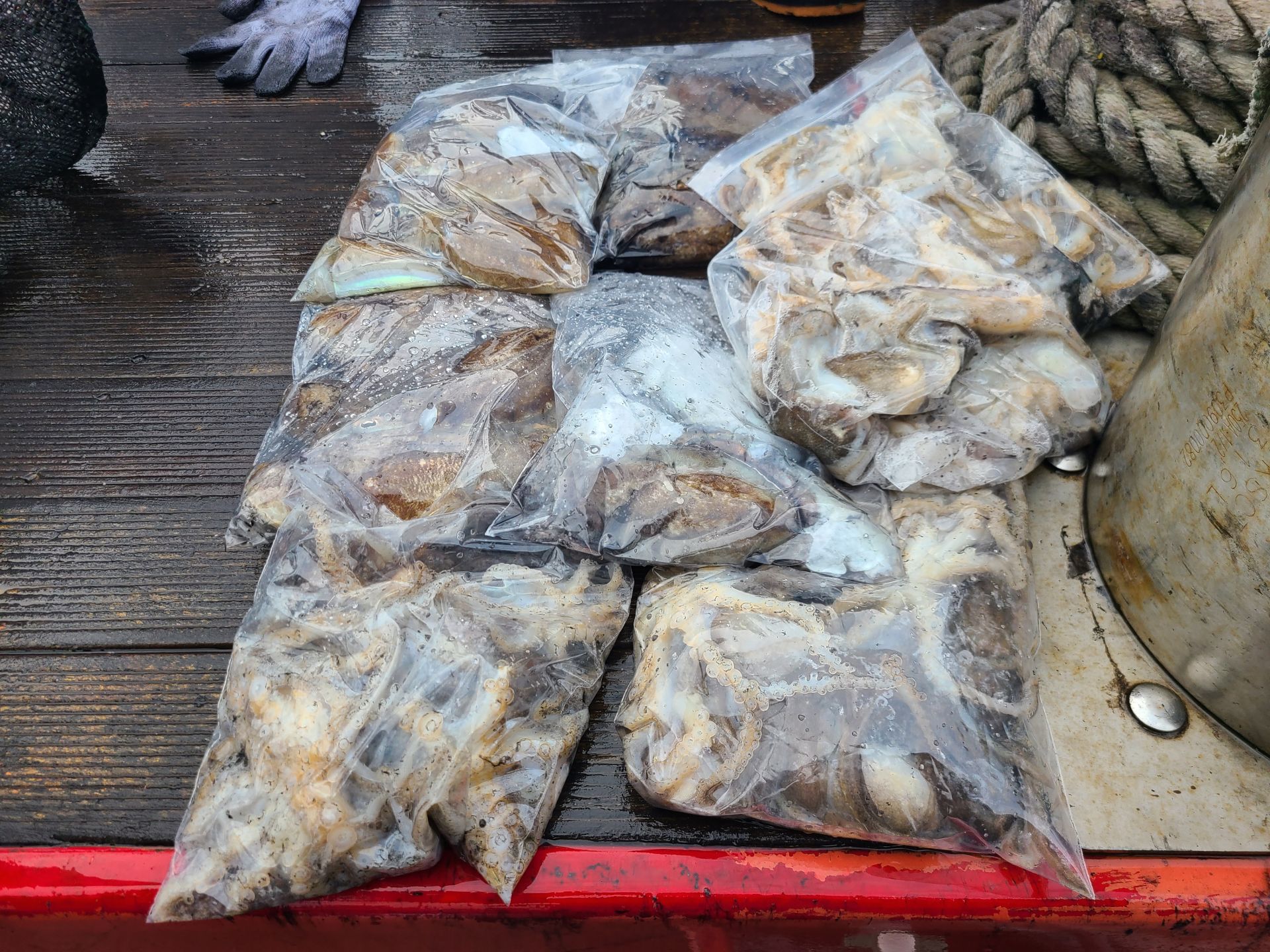 2025년10월26일 주꾸미 출조