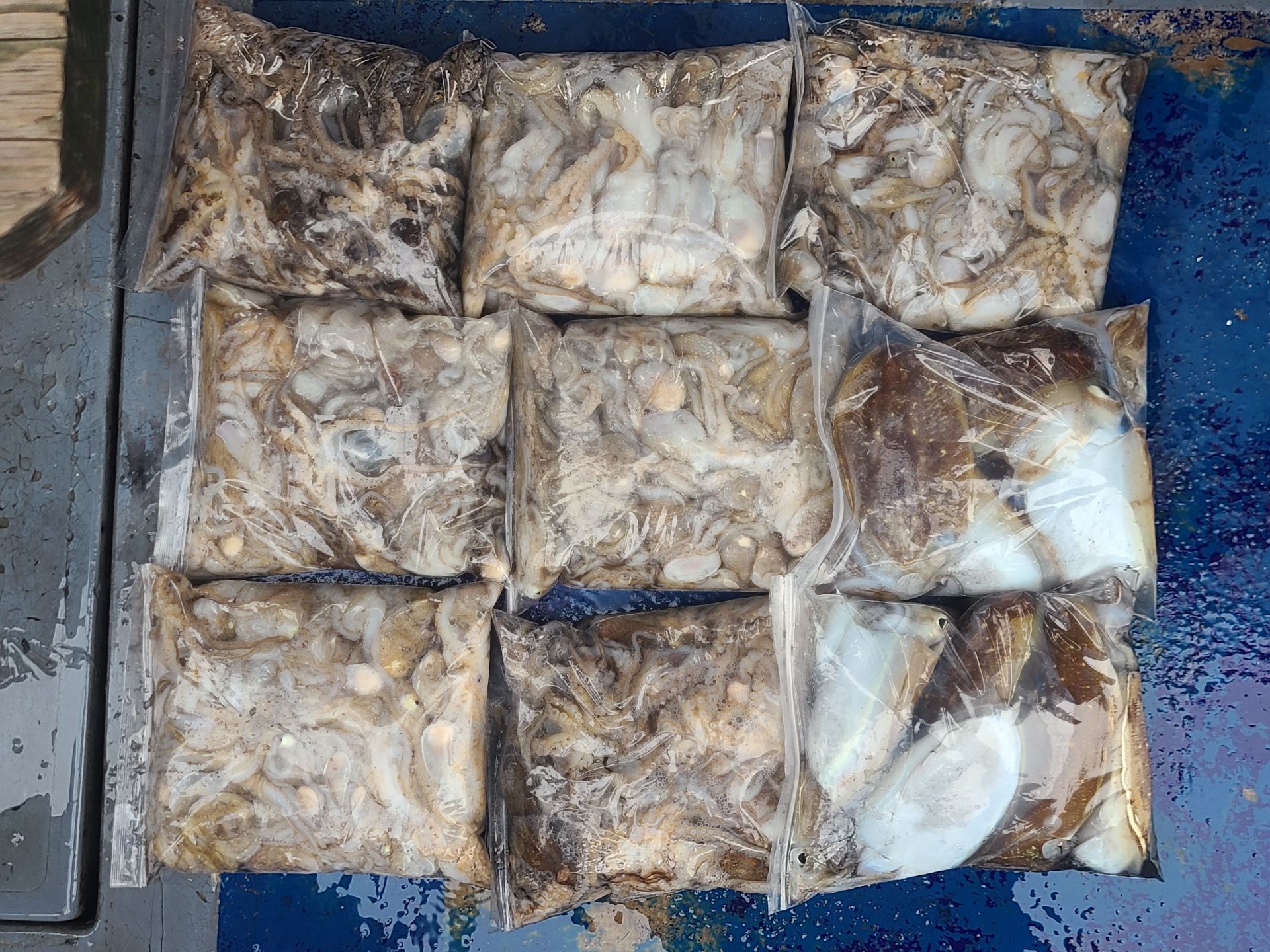 2025년10월30일 주꾸미 출조