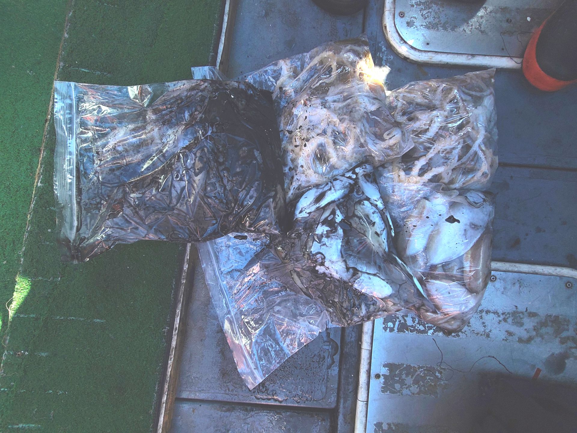 2025년10월08일 주꾸미 출조