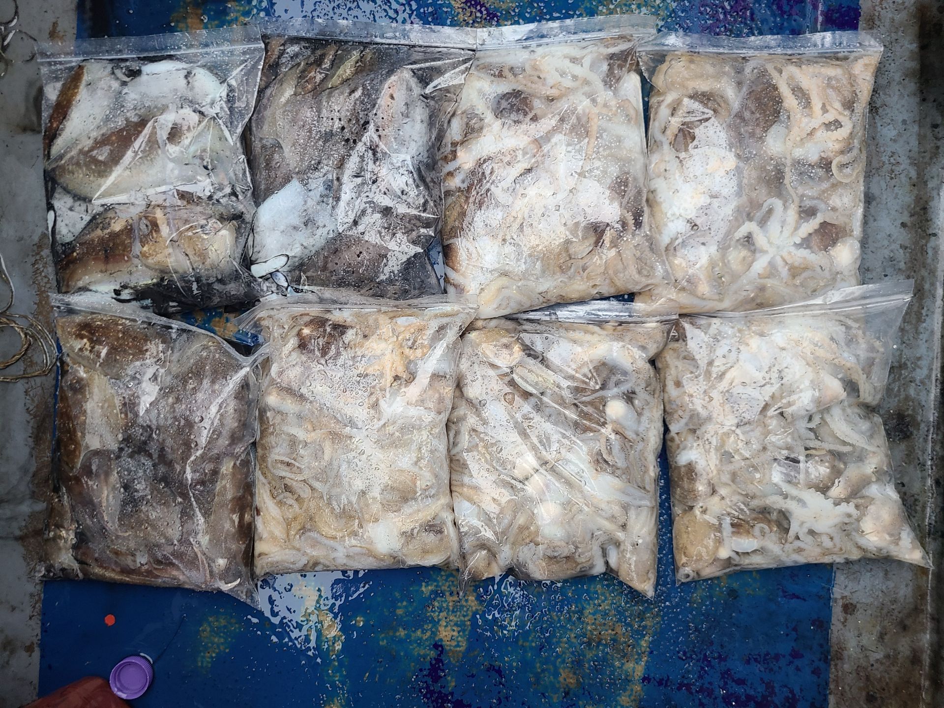 2025년10월15일 주꾸미 출조