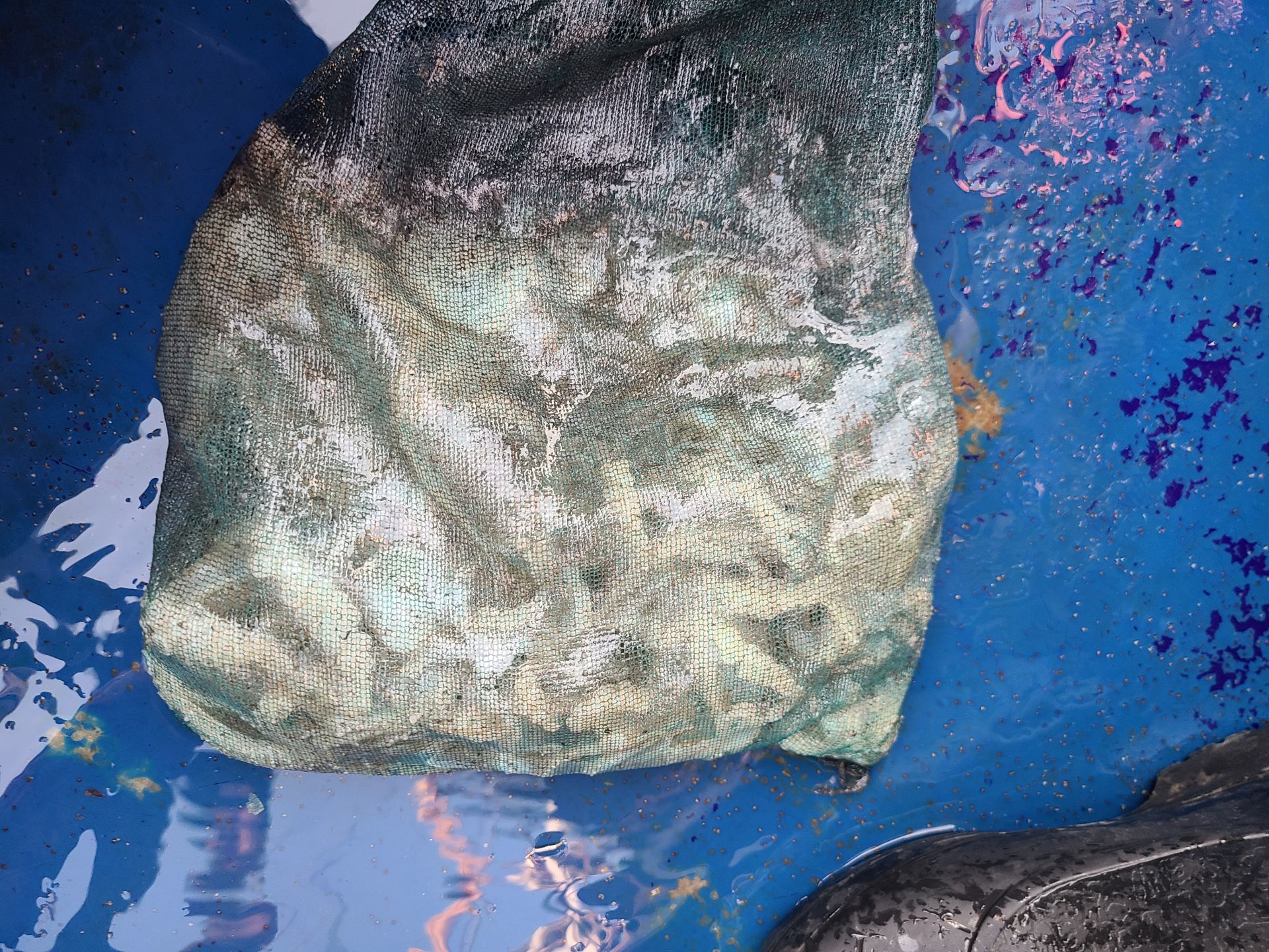 2025년11월22일 주꾸미 출조